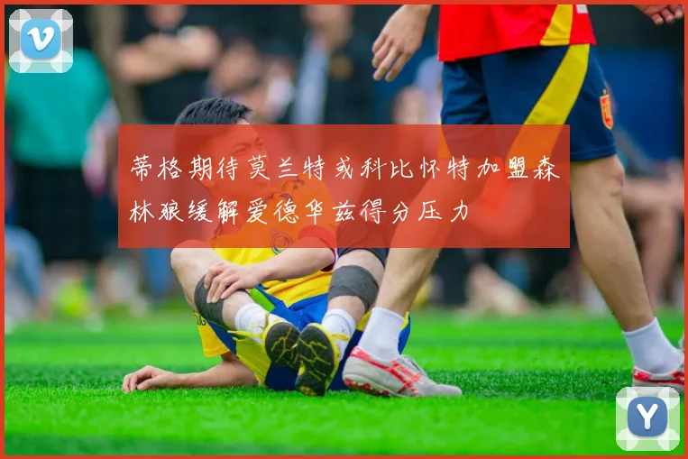 蒂格期待莫兰特或科比怀特加盟森林狼缓解爱德华兹得分压力